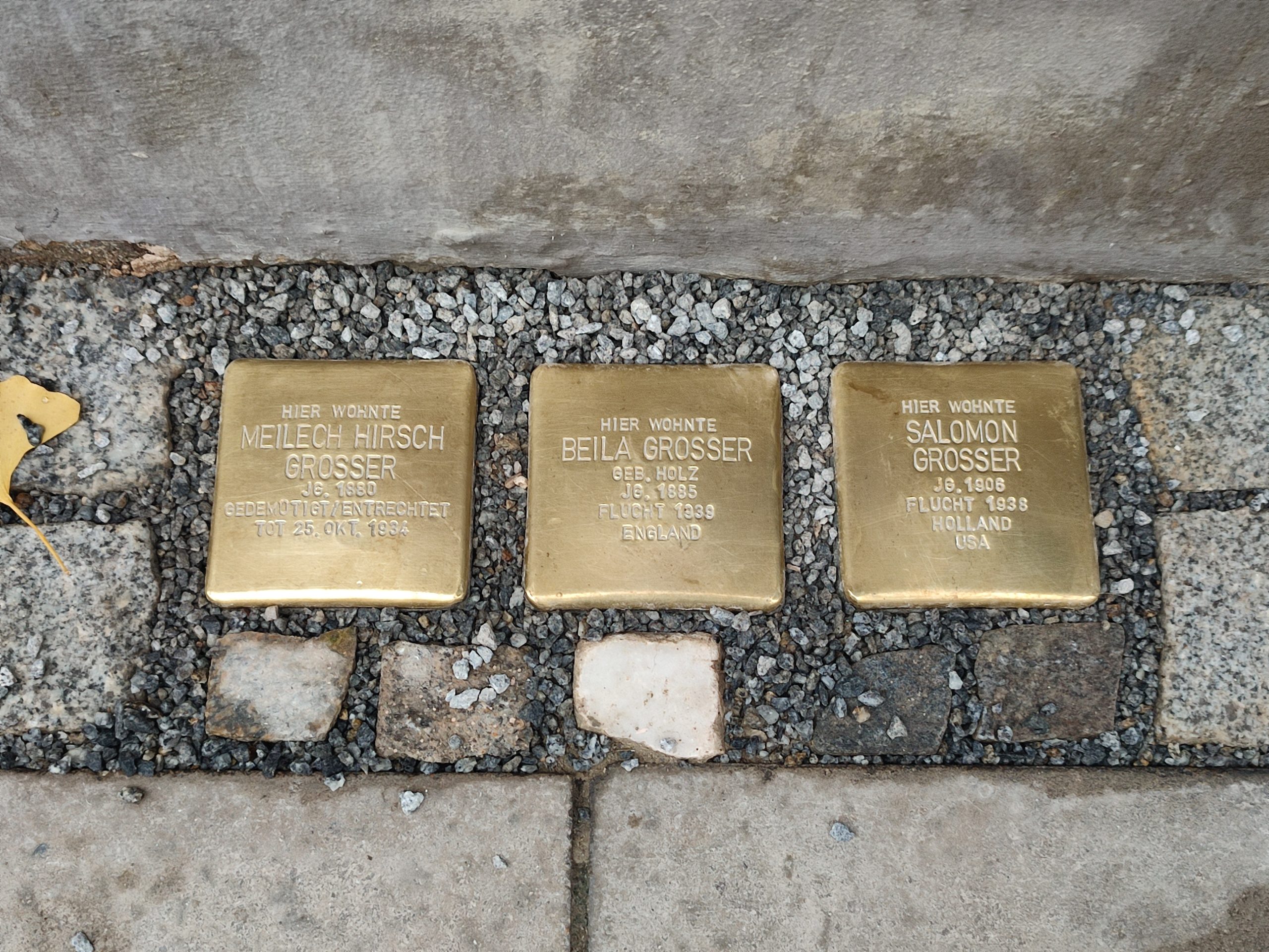 Ickstattstraße 26 1000101429